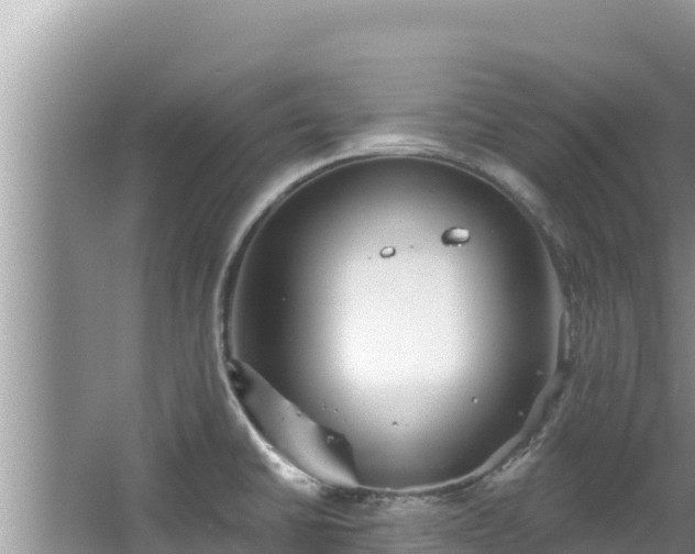 X0000067901430200604171351