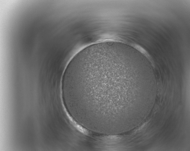 X0000067901431200604171351