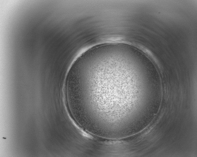 X0000067901432200604171351