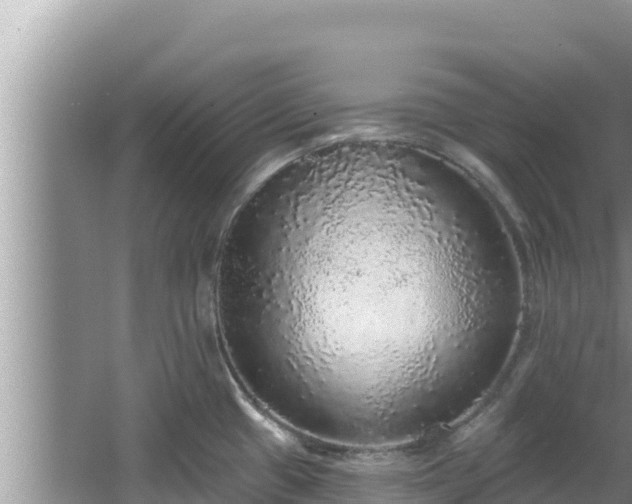 X0000067901433200604171351