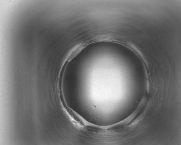 X0000067901434200604171351