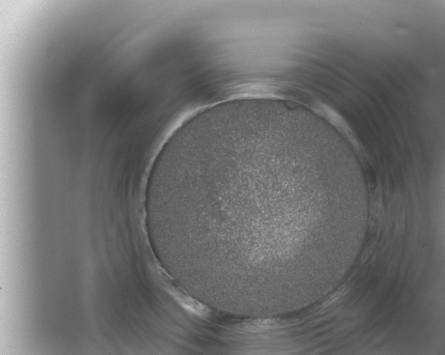 X0000067901435200604171351