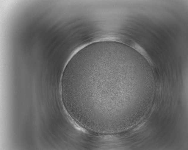 X0000067901436200604171351