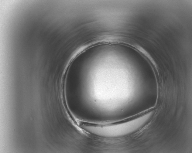 X0000067901437200604171351