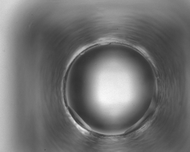 X0000067901438200604171351