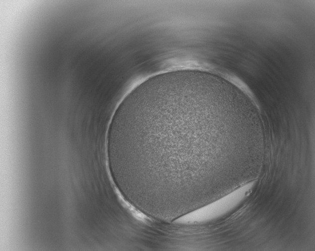 X0000067901439200604171351