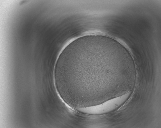 X0000067901440200604171351