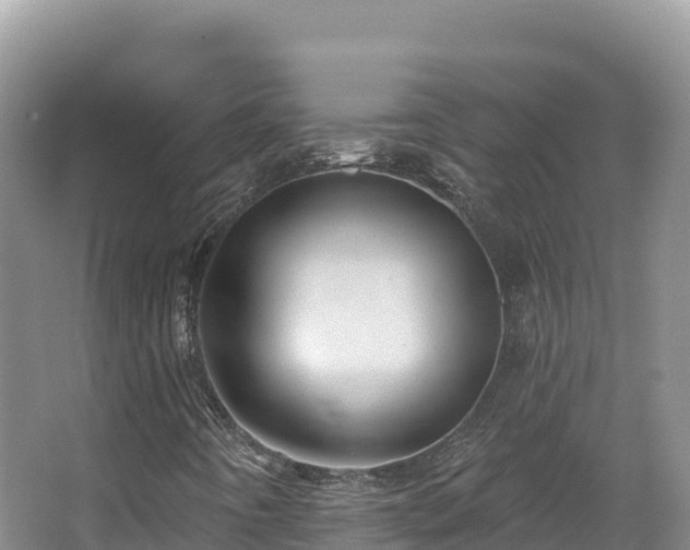 X0000067901442200604171351