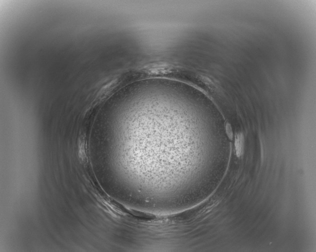 X0000067901444200604171351