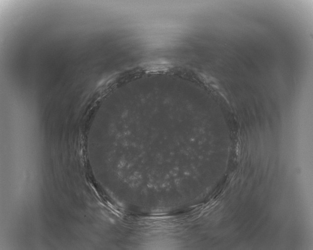 X0000067901445200604171351