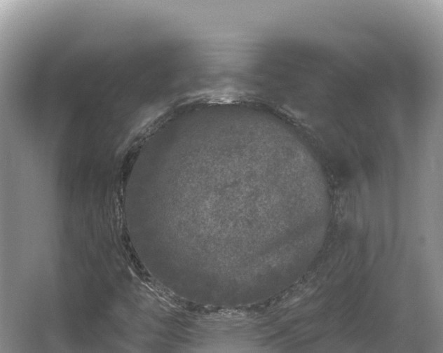 X0000067901446200604171351