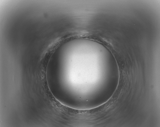 X0000067901447200604171350