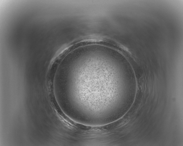 X0000067901448200604171350