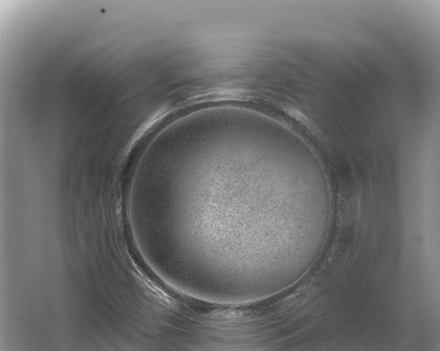 X0000067901450200604171350