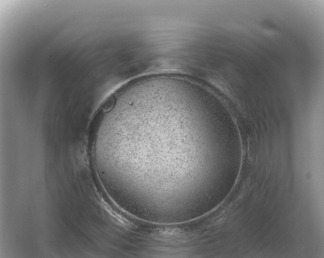 X0000067901452200604171350