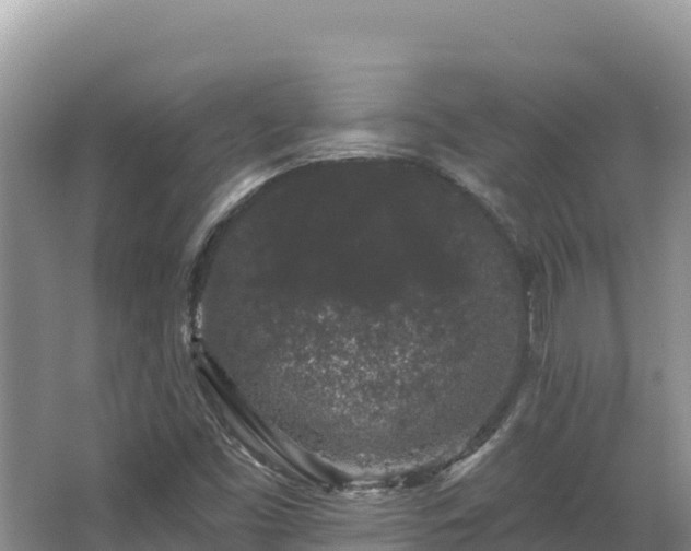 X0000067901453200604171350