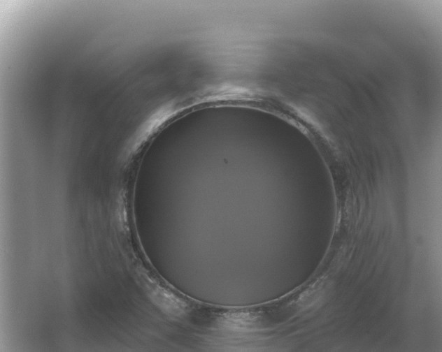 X0000067901455200604171350