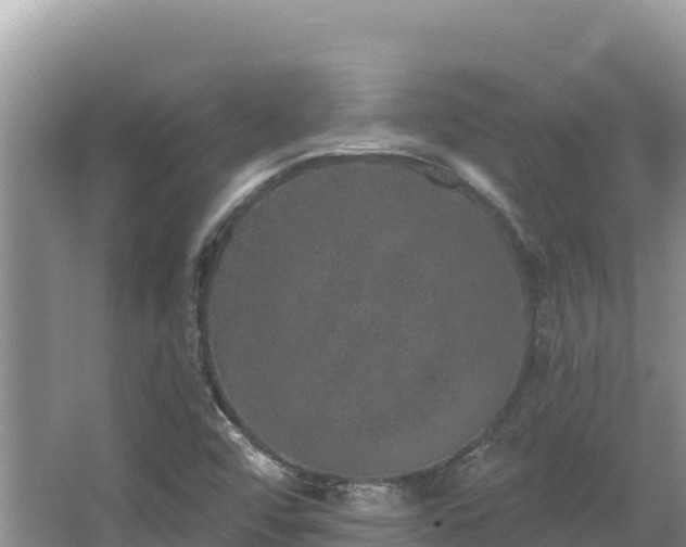 X0000067901456200604171350