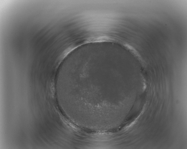 X0000067901457200604171350