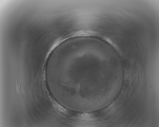 X0000067901459200604171350