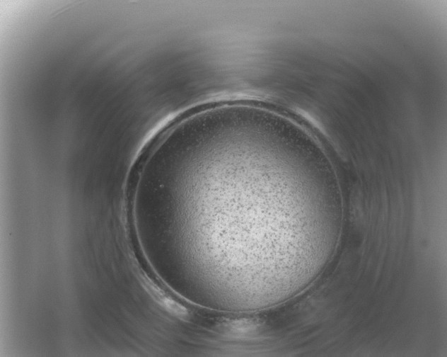 X0000067901460200604171350