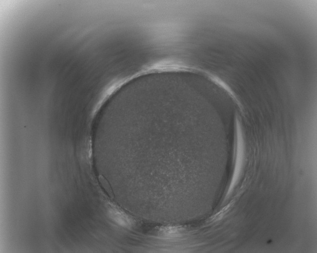 X0000067901461200604171350