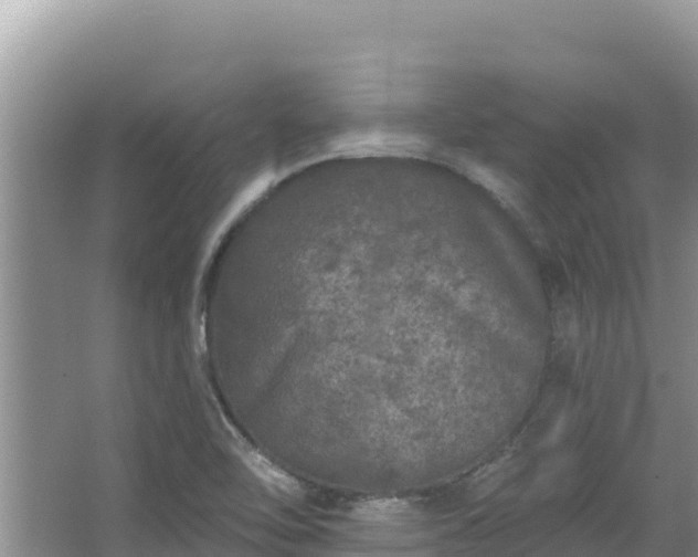 X0000067901462200604171350