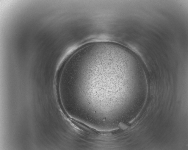 X0000067901464200604171350