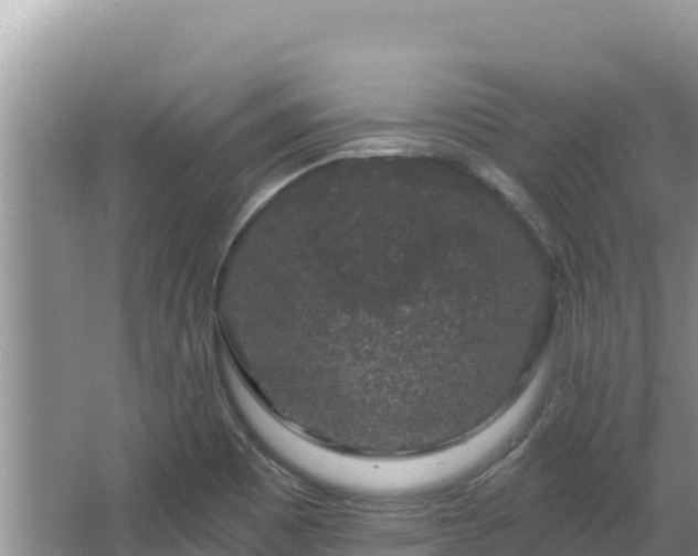 X0000067901465200604171350