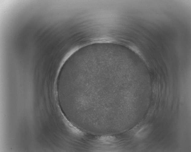 X0000067901466200604171350