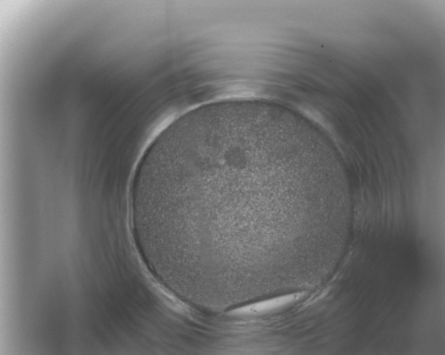 X0000067901467200604171350