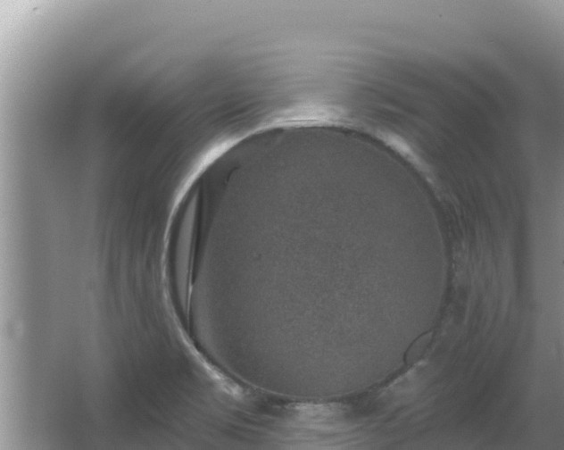 X0000067901469200604171350