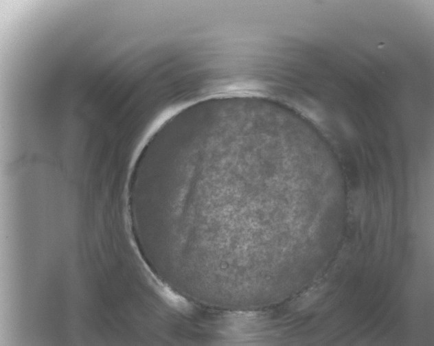 X0000067901470200604171350