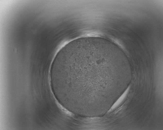 X0000067901471200604171350