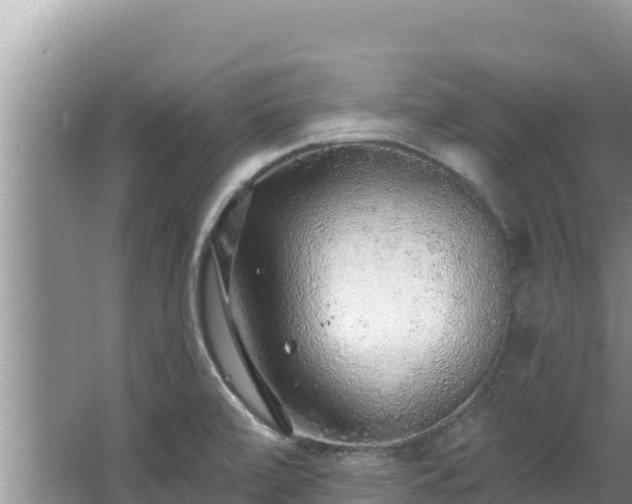 X0000067901472200604171350