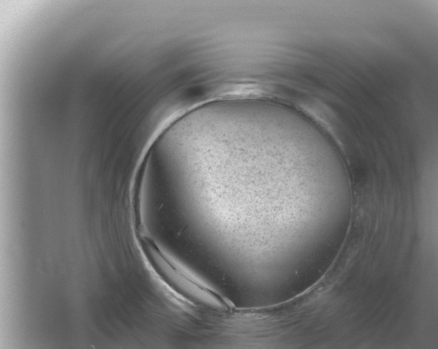 X0000067901475200604171350