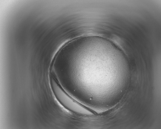 X0000067901476200604171350