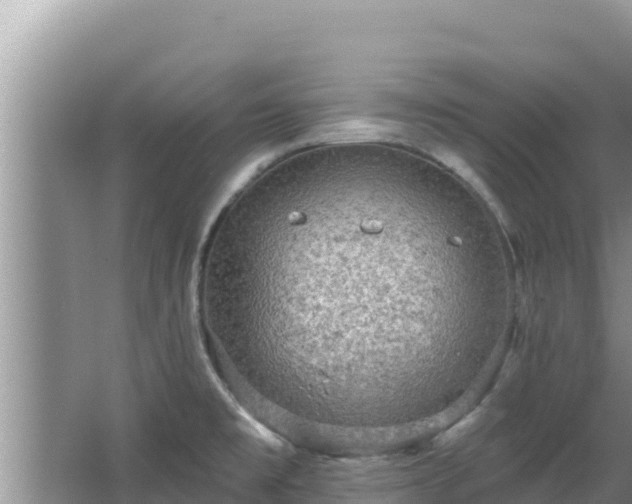 X0000067901477200604171350