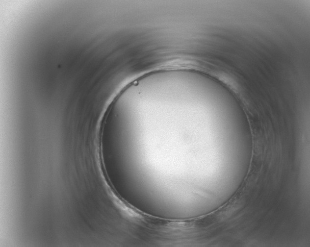 X0000067901478200604171350