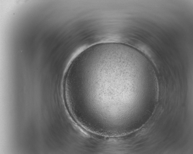 X0000067901480200604171350