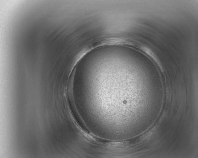 X0000067901481200604171350