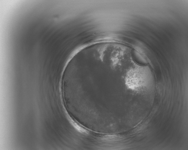 X0000067901482200604171350