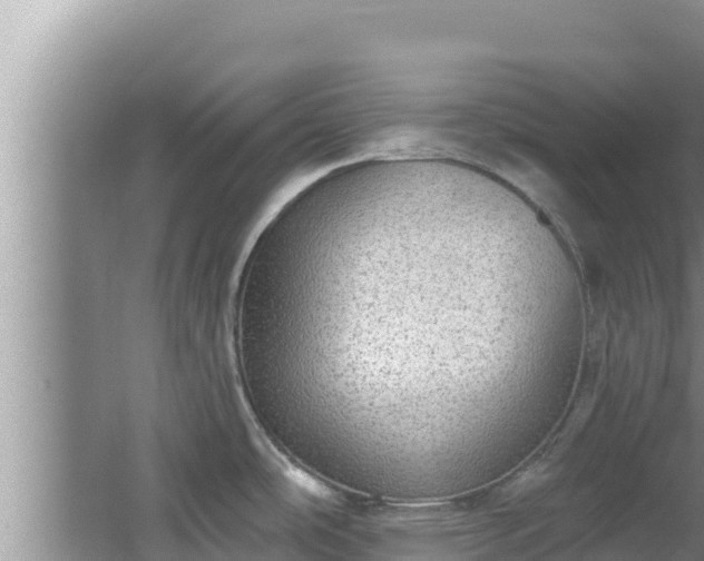 X0000067901486200604171350