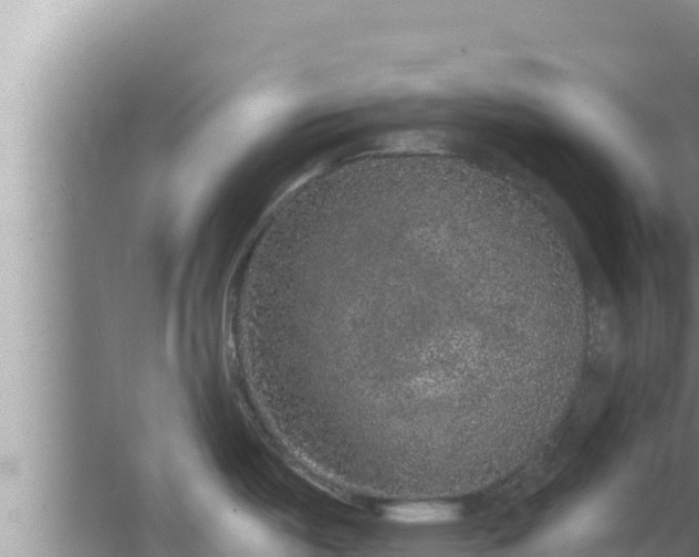 X0000067901487200604171350