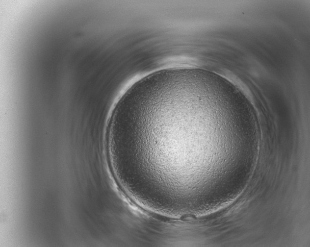 X0000067901488200604171350