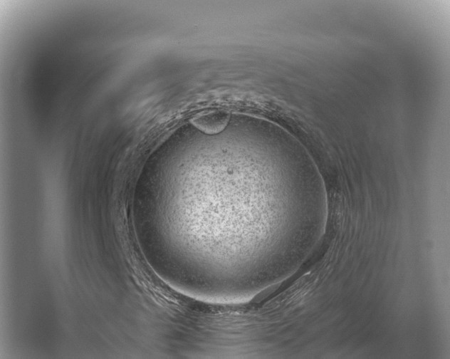 X0000067901489200604171349