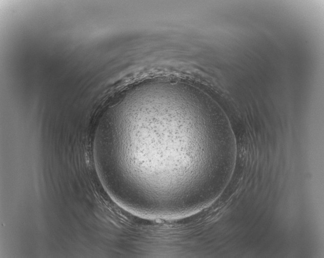 X0000067901490200604171349