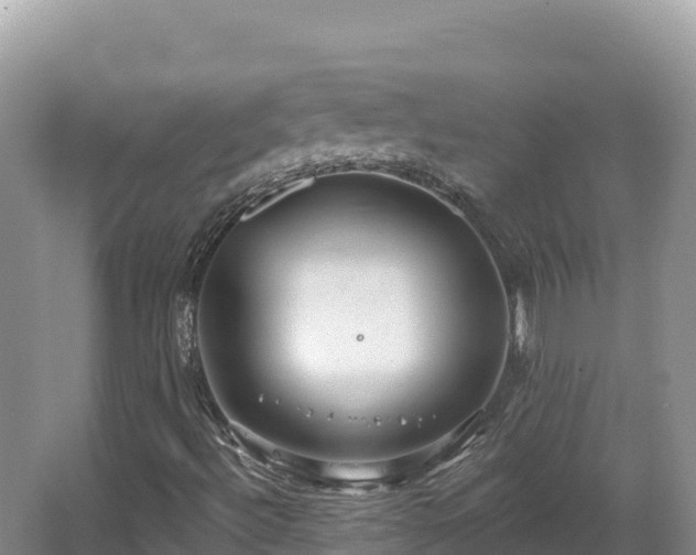 X0000067901492200604171349