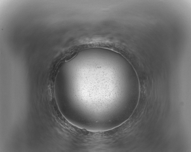 X0000067901493200604171349