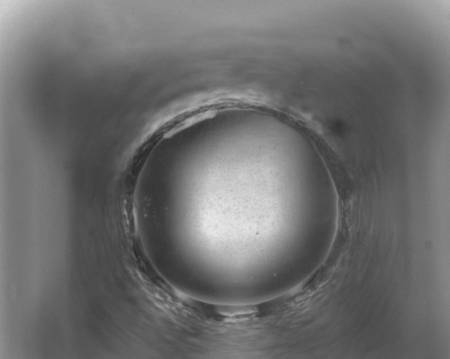 X0000067901496200604171349